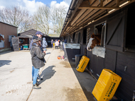 AK310322-90 - Alan King Stable Visit